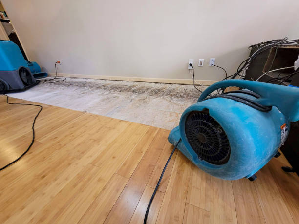 Professional Water Removal technician working in Ravenna, NE